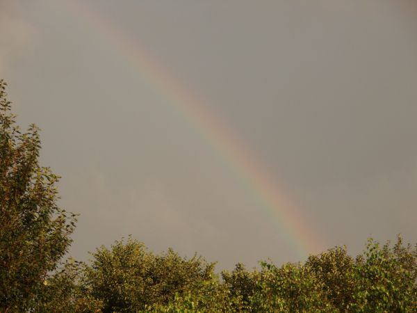 zdjecie Chrząchówek