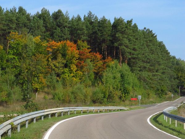 Łuk na drodze do Borzechowa z Osowa Leśnego za mostem nad Wdą