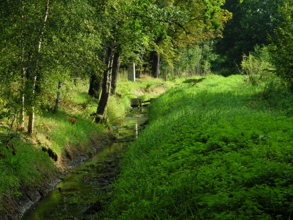 dziś to miejsce trochę inaczej wygląda bobrza tam jest jeszcze