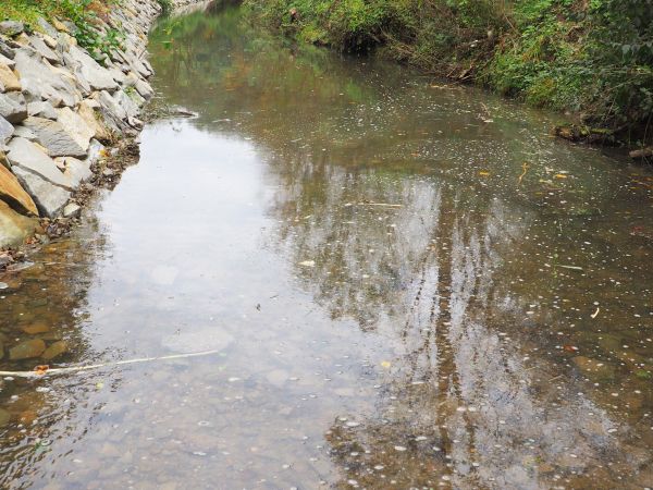 "Szlak Siedmiu Strumieni" - tu jego niemal końcowa prezentacja, potok zebrał wody  spływające po obu stronach ze zboczy gór - tu jego skarpa linii brzegowej od