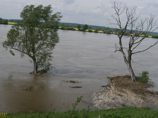 Poziom wody z niedzieli 23 maja....