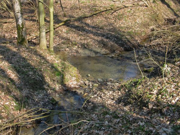 górny odcinek potoku Modrza /zwanego też Odrzin/ - tu zasilanego wodami Bełchowskiego Potoku - zmineralizowane źródła, to dla nich przyjeżdżał starosta sanocki