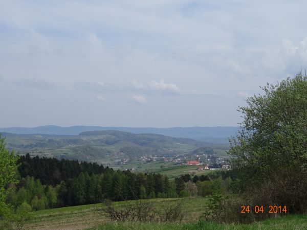 w lewo opada dolina Osławy, na wprost zalesione  wzgórze Mokre - 376m npm a w dole  wieś Czaszyn /jest galeria - zapraszam/.