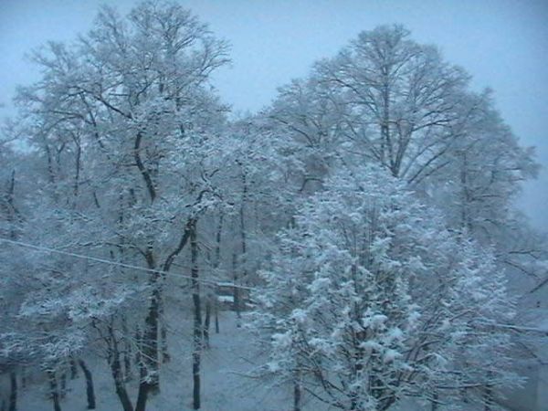 Park przy ul. Lipowej.