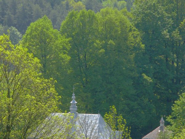 kolory: zielony i srebrny dominują i niechby "tak pozostało" !