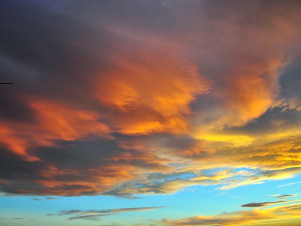 zdjecie Wodzisław Śląski