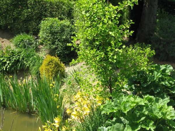 w arboretum - właściciel podziwiać i zachwycać się - pozwolił ! Gdyby jednak ktoś podziwiać chciał inne - w m. Bolestraszyce to do galerii - zapraszam ! Tam naw