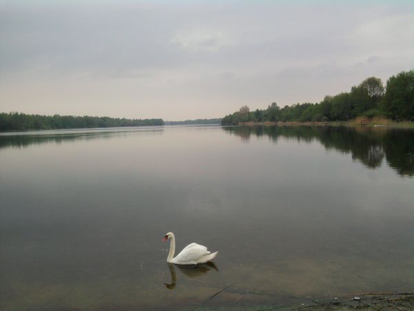 Jezioro Szczytnowskie-Ługowiska