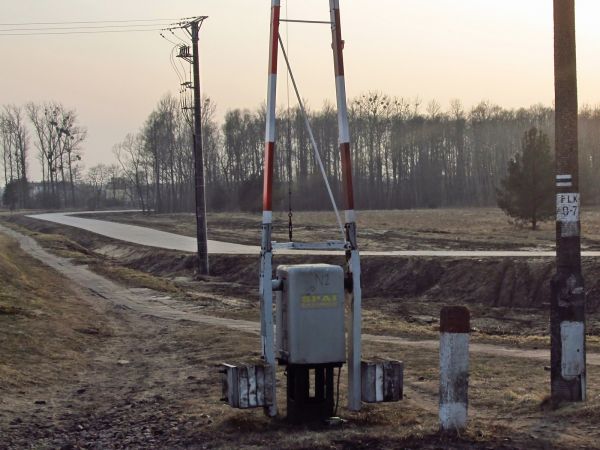 Zlikwidowany szpaler topól przy chodniku do Steico