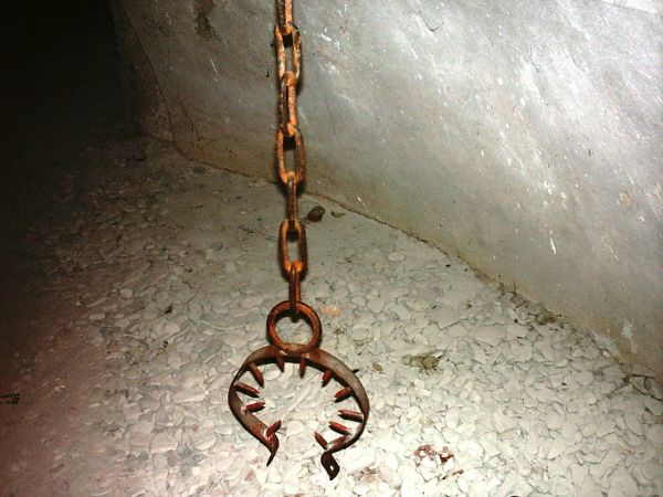 Jedna z najpiękniejszych rezydencji pałacowych w Polsce. Położona 10 km na południe od Przemyśla.  Zamek - pałac powstał w XVI wieku.  Przez kolejne lata rozbud