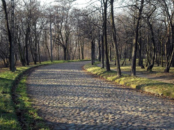 Zabytkowy odcinek ul. Giewont na Stokach.