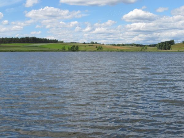 Jezioro Lubiki w Lubikach