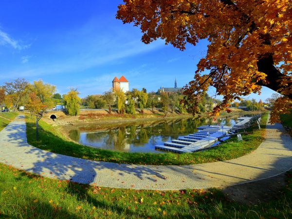 zdjecie Sandomierz