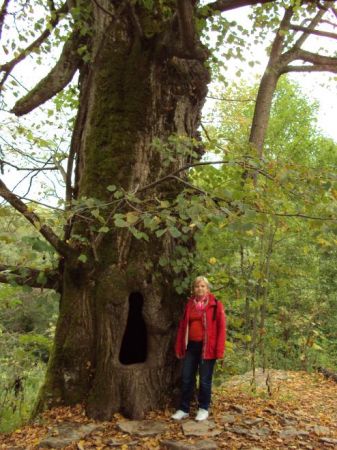 niemy świadek dziejów - niegdyś cieniem pątników obdarzała i tych co na słynne odpusty przybywali a konfesjonały na grzeszników czekały i miski wiklinowe na gro
