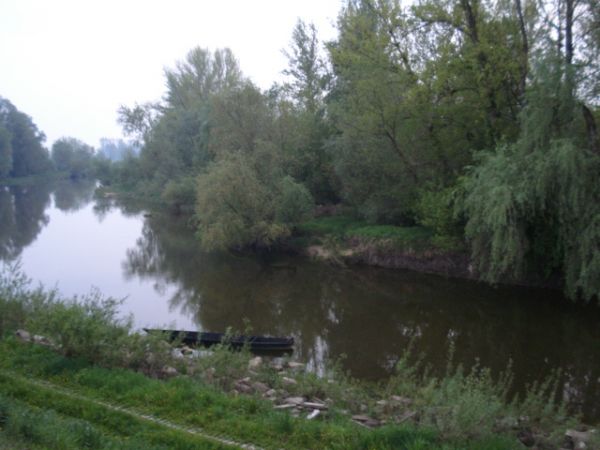 zdjecie Kępa Chotecka