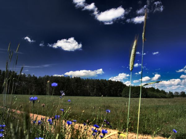 zdjecie Tyniewicze Duże