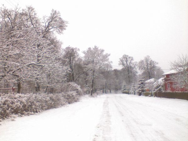 zdjecie Miękisz Stary