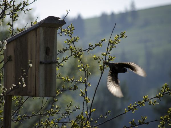 zdjecie Białka Tatrzańska