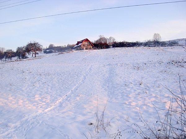 Niskowa. Styczeń.2010 r.