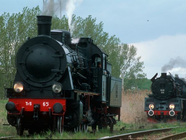 Wolsztyn, Parowozy podczas parady.