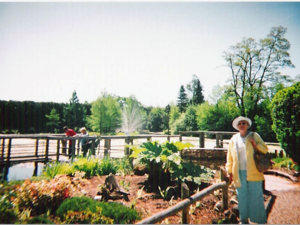 Staw to sztuczny zbiornik wodny o wielu specyficznych cechach: wody są żyzne, płytkie, o dużych różnicach temperatur dobowych i w skali rocznej. Na stawie nowym