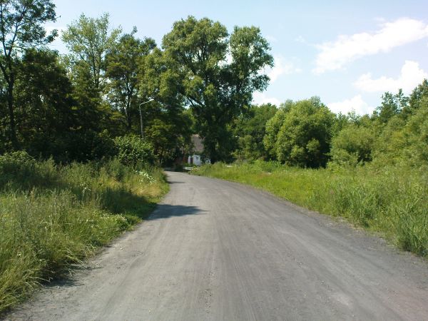 Droga w kierunku Machowa, Auguścina i Glesna.