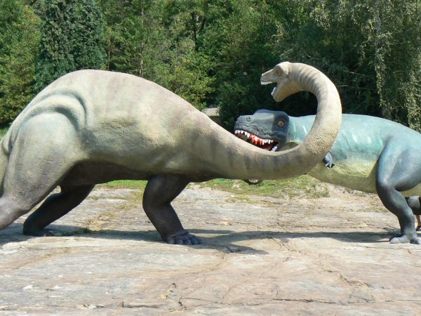 DOLINA DINOZAURÓW-ZOO