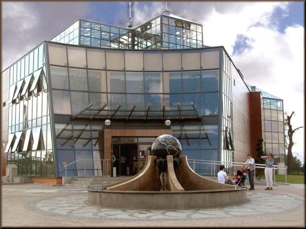 Tanienoclegi1 - palmiarnia - Zielona Góra