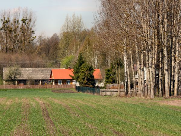 zdjecie Tyniewicze Duże