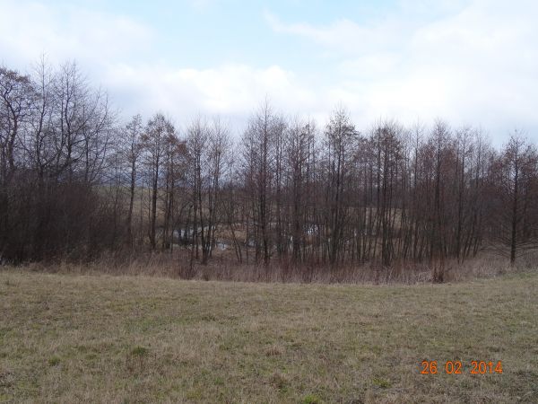 tam to bobry rządy sprawują a że pod ochroną, to my tylko tak z daleka...