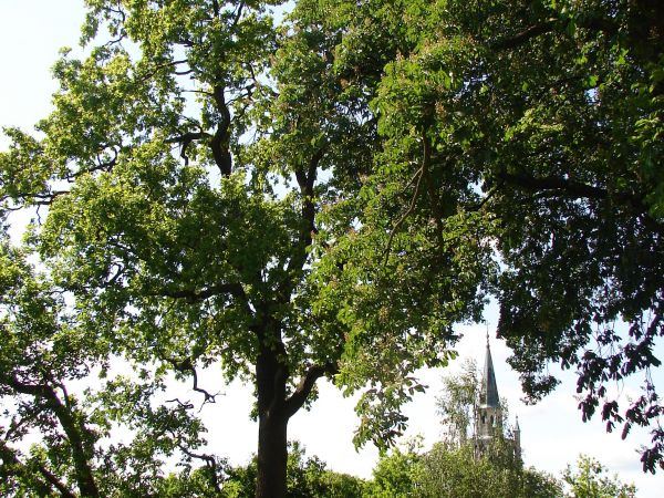 Bytow - widok na Kosciol spod zamku