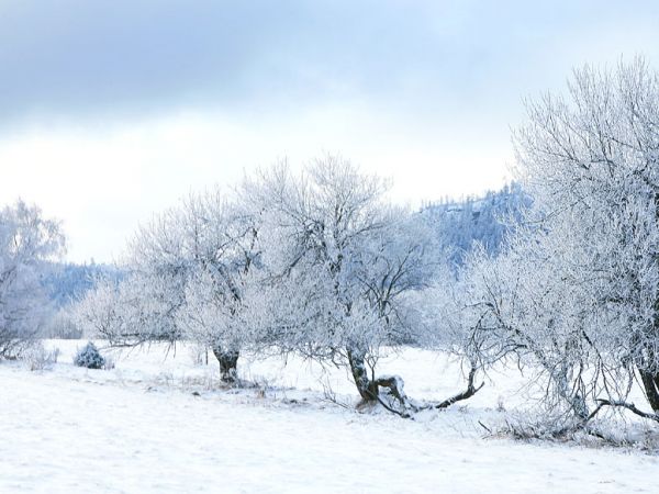 Zima w Pasterce w górach Stołowych. Malutka, malownicza wioska u samego podnóża Szczelińca Wielkiego jest unikalną już oazą ciszy i spokoju zadziwiając przy tym