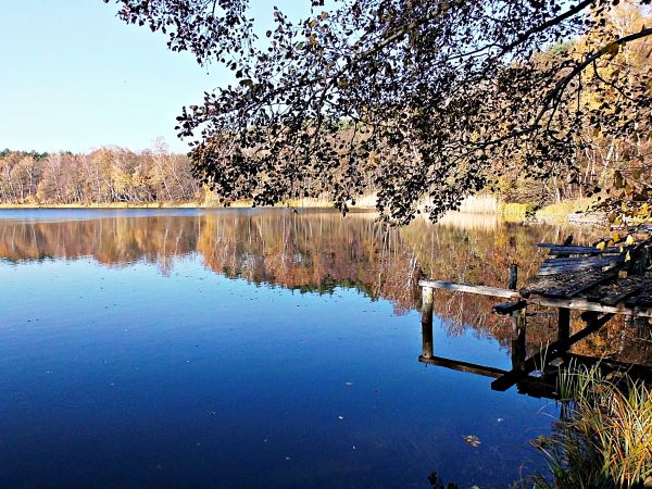 Jezioro w Dzikowie k/Torunia- listopad 2018 .  Jezioro ma 7 ha powierzchni i jest otoczone lasem.  Głębokość maksymalna wynosi 18 m, a średnia około 2 m.