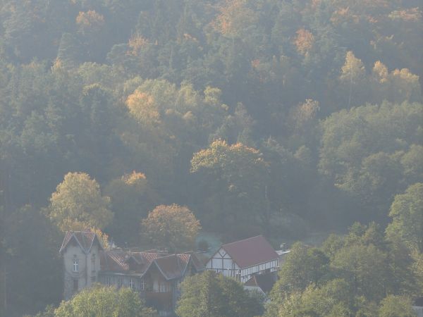 Gdansk Oliwa z Pacholka