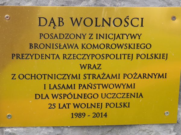 tablica upamiętniająca posadzenie "Dębu Wolności" - na głazie przy muzeum.