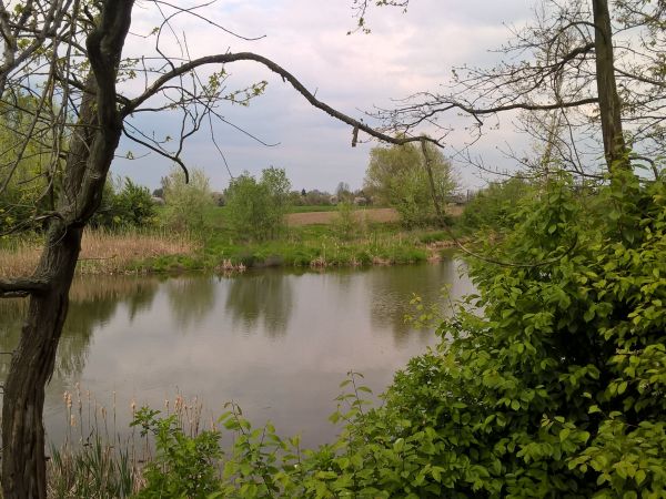 Jezioro u Ryśka 2 maja A.D.2016 jak zwykle urokliwe , ciche i tajemnicze .