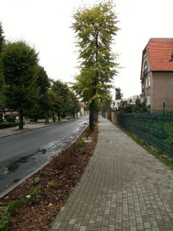 zdjecie Sulechów