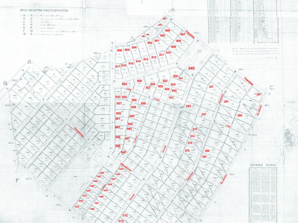 Zdjęcia Michałów-Reginów