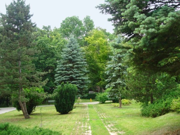 Park "kardiologiczny"