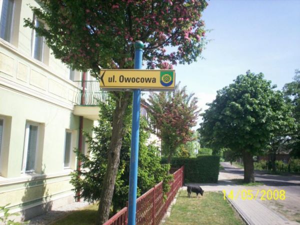 Nawet nazwy ulic są fantastyczne.