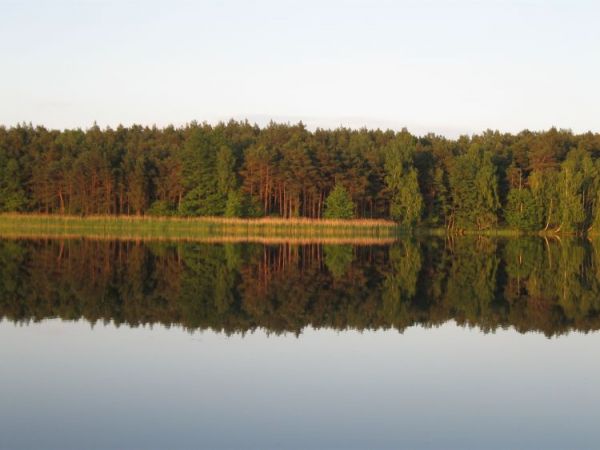 zdjecie Samociążek