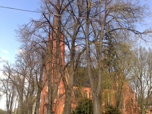 Kościół pw. Chrystusa Króla i Zwiastowania NMP w Rawiczu