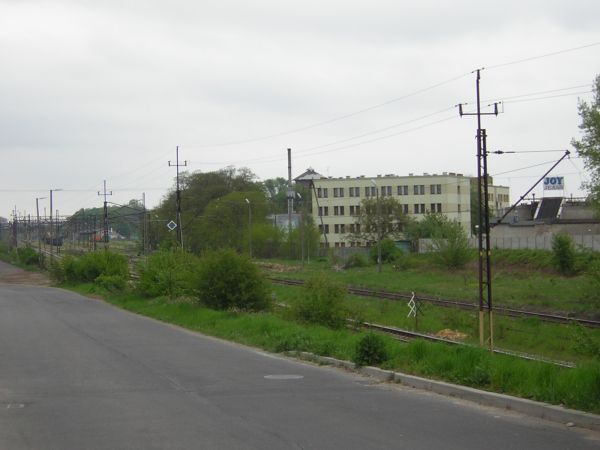 zdjecie Sulechów