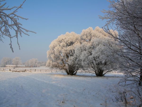 zdjecie Tyniewicze Duże