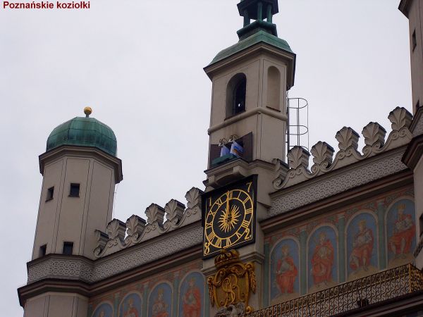 zdjecie Poznań