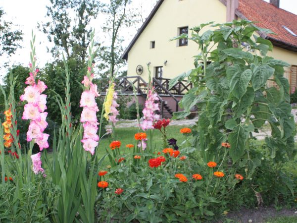 Gospodarstwo Agroturystyczne