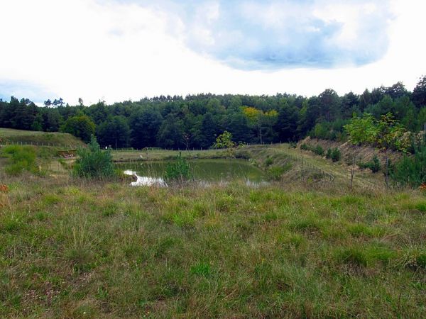 Stawek na byłym żwirowisku