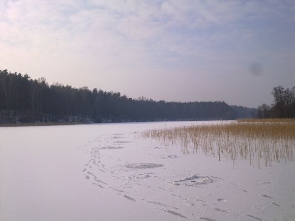 Zima 2012 nad jeziorem Łąke