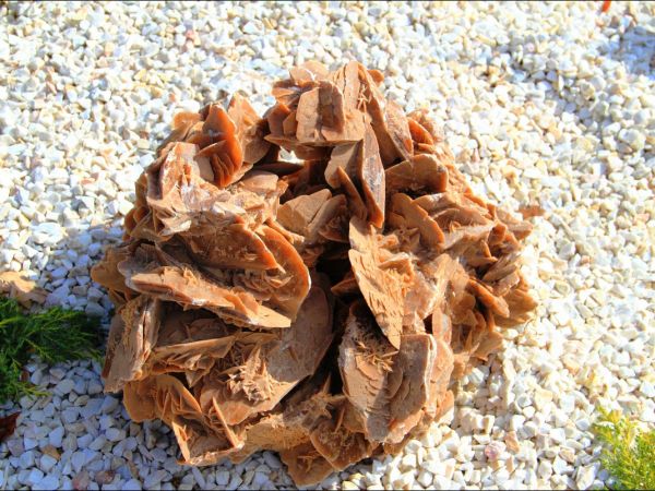 Klasztor Saletynów i Sanktuarium Matki Bożej z La Salette - Płaczącej  w Dębowcu  .  W kościele ukoronowana jest Matka Boża Saletyńska, która spełnia prośby lud