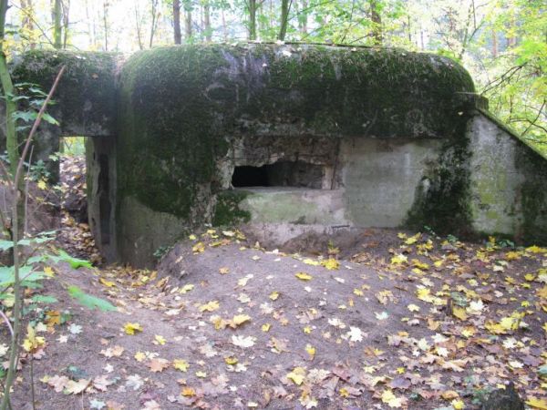 Schron nr 16 Armii "Pomorze" z 1939r. Tradytor jednostronny. Uszkodzona strzelnica. Widok od strony strzelnicy schronu.